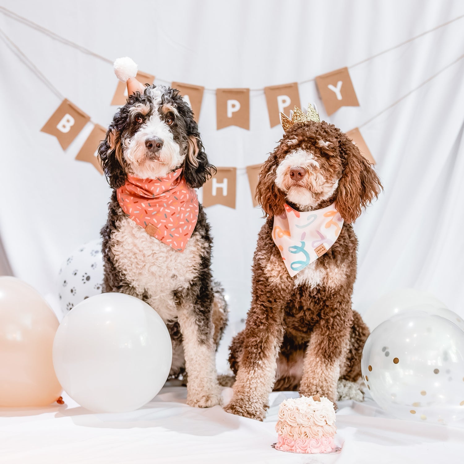 Birthday Extravaganza Set (Bandana + Party hat + Banner + Balloons)