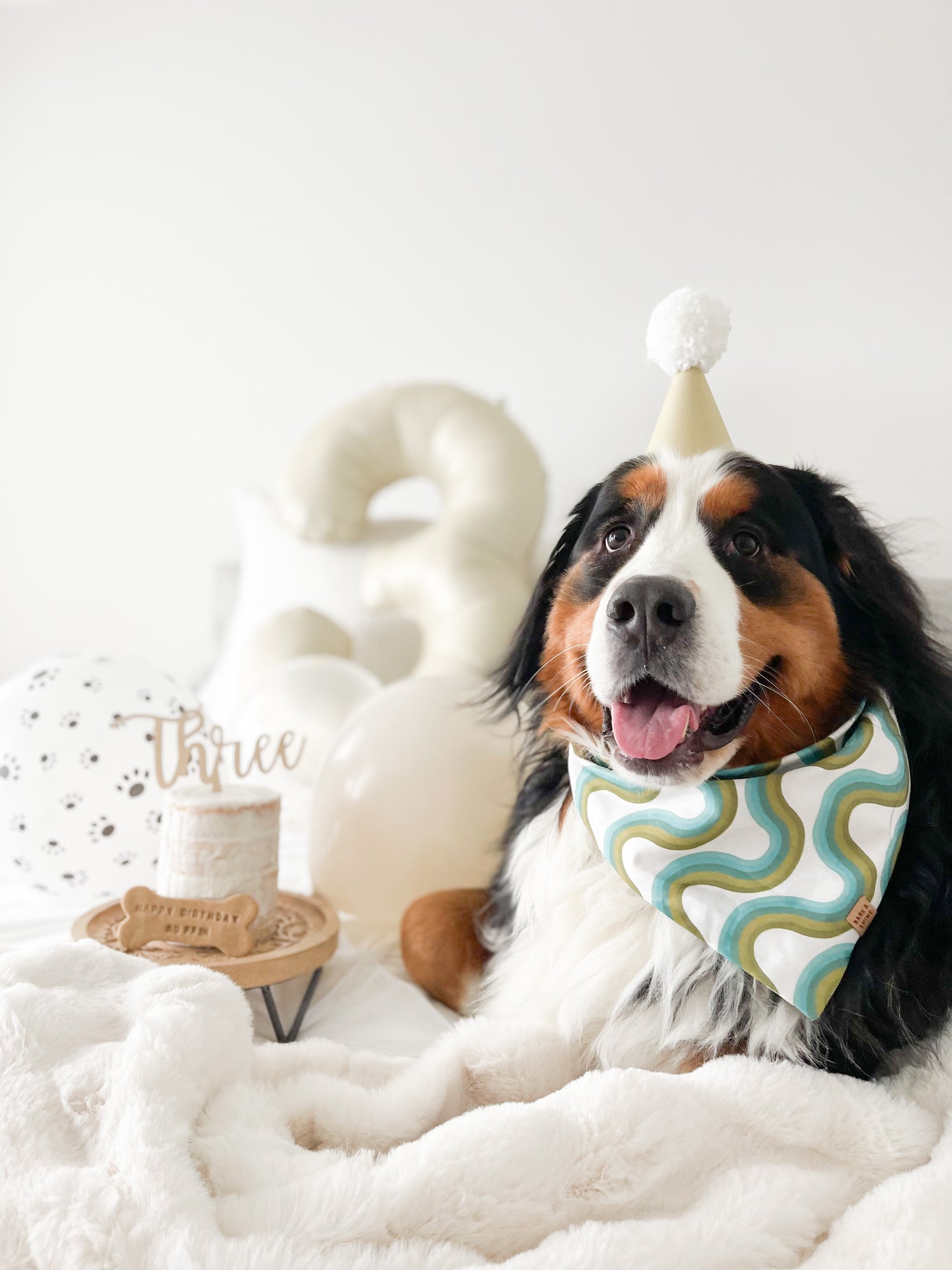 Birthday Extravaganza Set (Bandana + Party hat + Banner + Balloons)