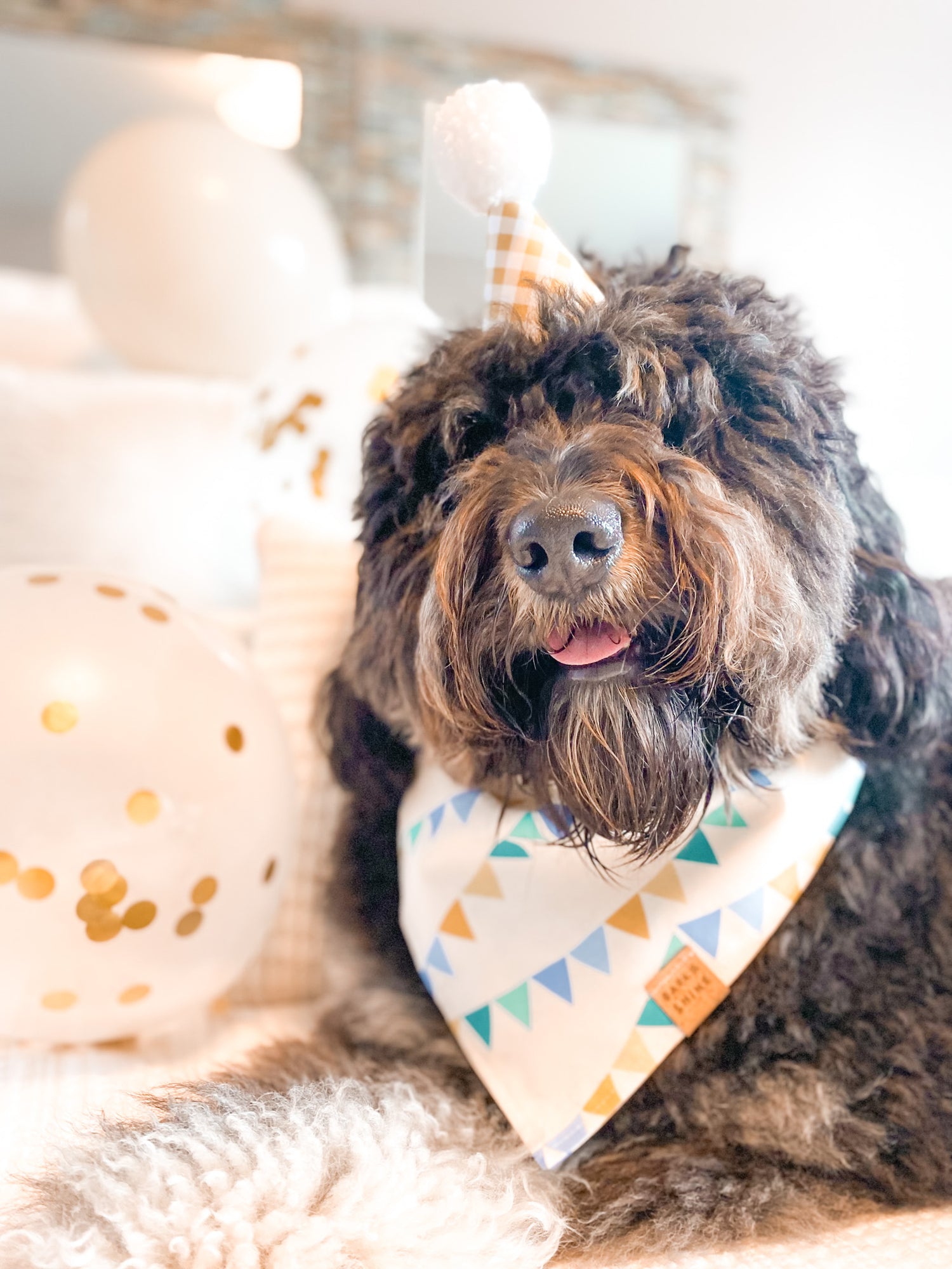 Pawty Duo Set (Bandana + Party hat)