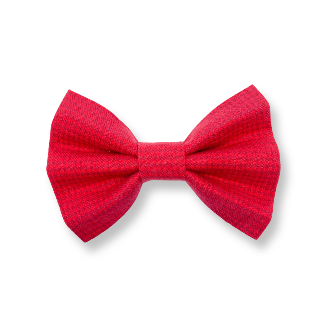 eve bow tie